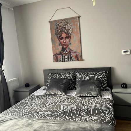 סיביו Apartament Acasa מראה חיצוני תמונה